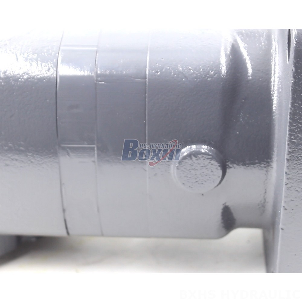 Factory Supply BM6 Cycloid Hydraulic Motor 245 cc/r 150 Lpm detail image